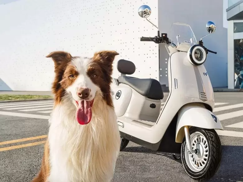 倒计时14天!2025深圳礼品展:展品范围全攻略,一站式选品采购!