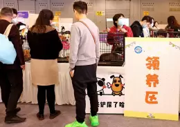 重庆国际宠物展-重庆宠博会