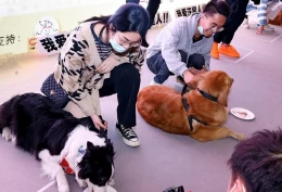 重庆国际宠物展-重庆宠博会
